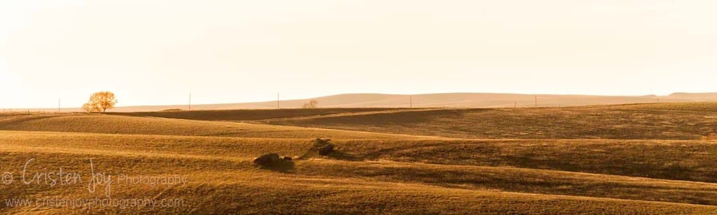 You are currently viewing Fall on the Prairie