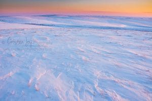 Snowy Landscape {Spring is Coming!}