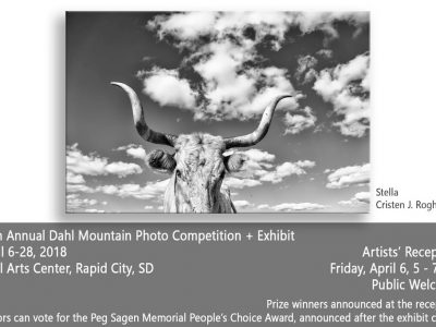 Stella {Dahl Mountain Photo Exhibit}