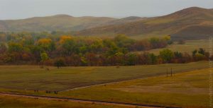 Read more about the article Searching for Fall on the Prairie