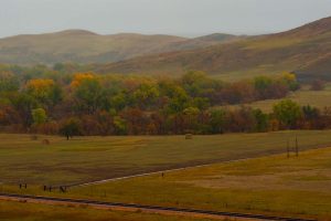 Searching for Fall on the Prairie