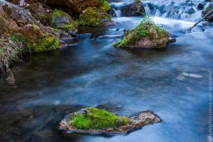 Color in Spearfish Canyon