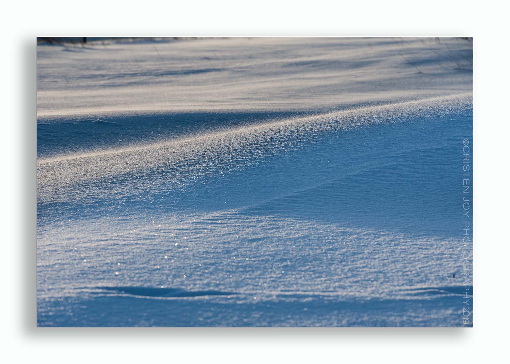 You are currently viewing Beauty in the Snow