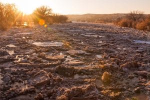 The Spring Flow of White River