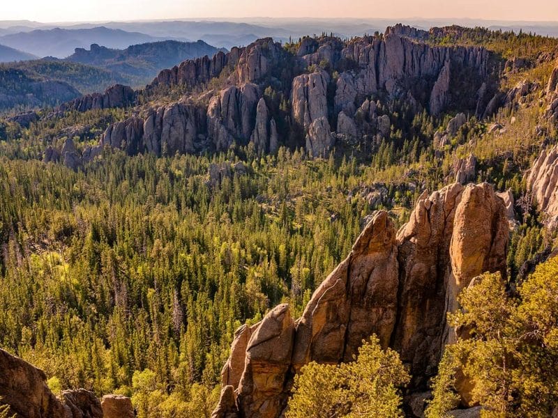 Black Hills Framed Mini Canvas Print