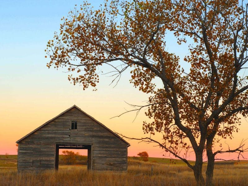 Granary in Fall Framed Mini Canvas Print