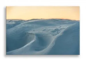 Read more about the article Dream of Snow