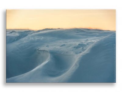 Dream of Snow