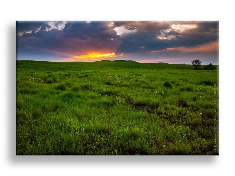 After the Rain Framed Mini Canvas Print