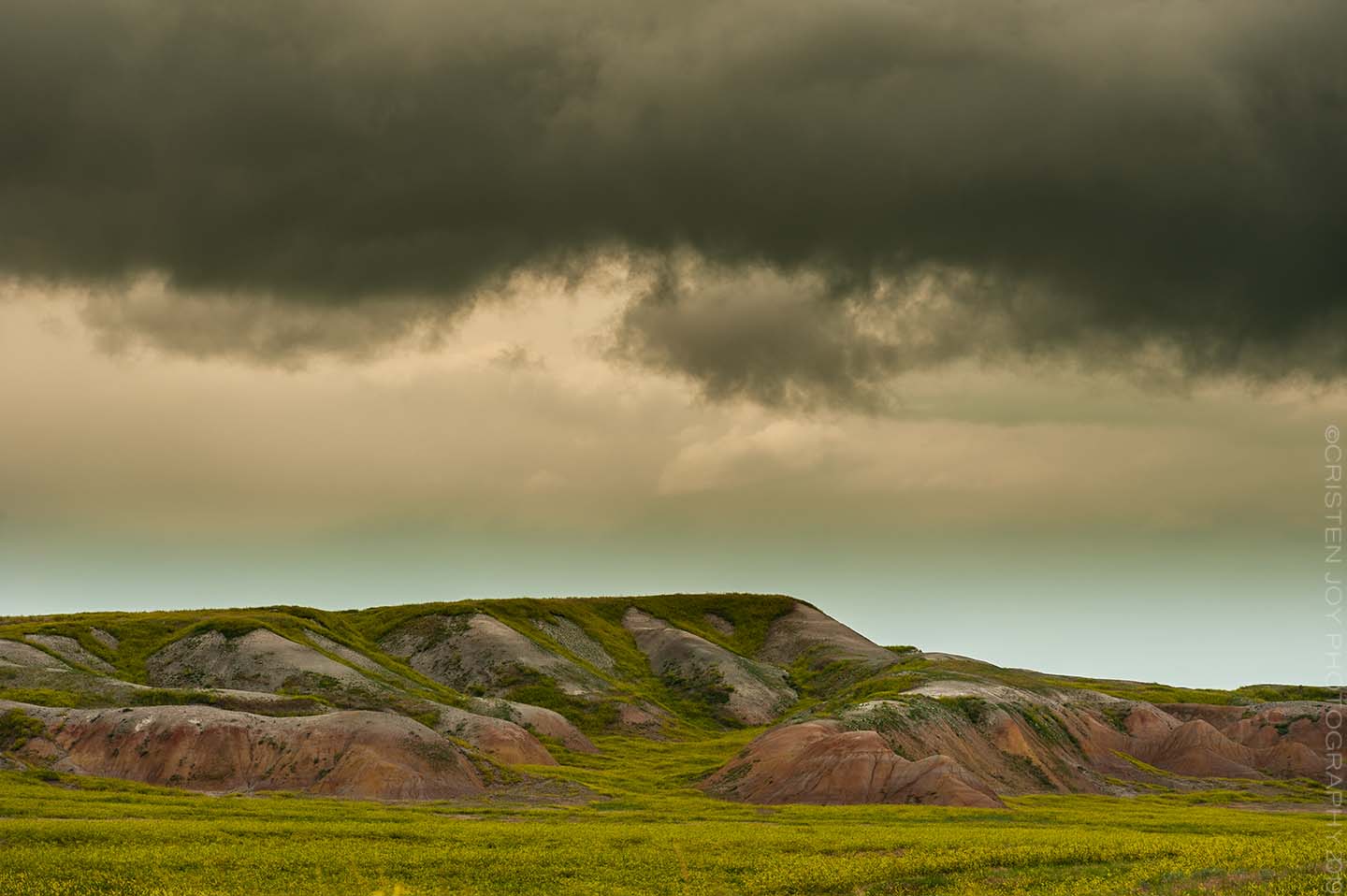 You are currently viewing The Lush Badlands of 2019