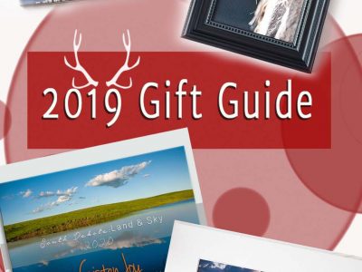 2019 Gift Guide