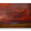Calling Out 5x7 Matted Print - Image 2