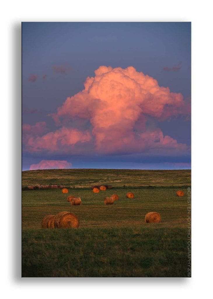 Hay bales scattered throughout a green field. Behind the bales is a tall thunderhead splashed in pink and orange hues from the reflection of the setting sun.