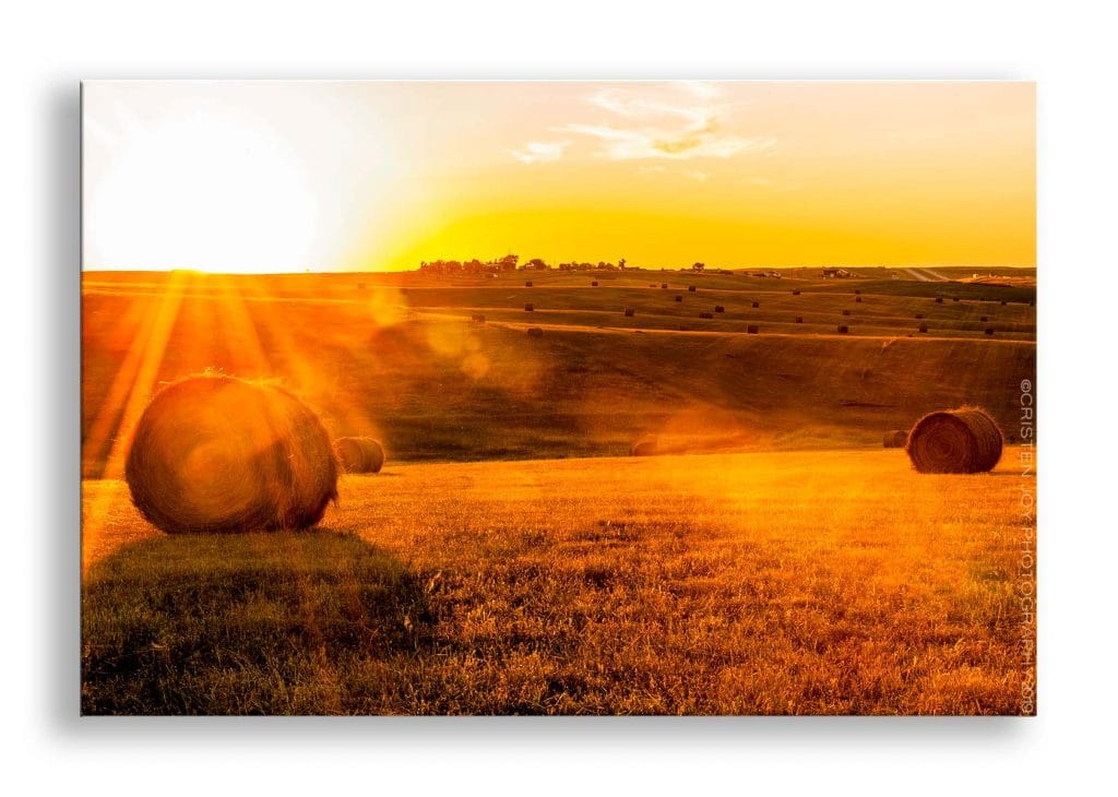 Looking into the late evening sun as it sets, spilling rays of sunshine across a rolling hay field. The tiny town of Okaton, SD can be seen in the distance.
