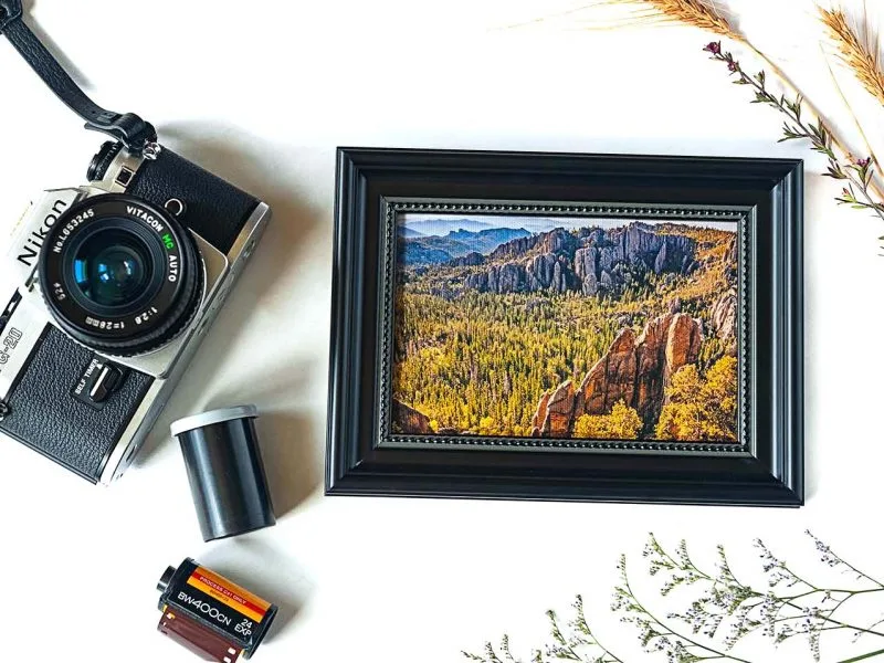 Black Hills Framed Mini Canvas Print