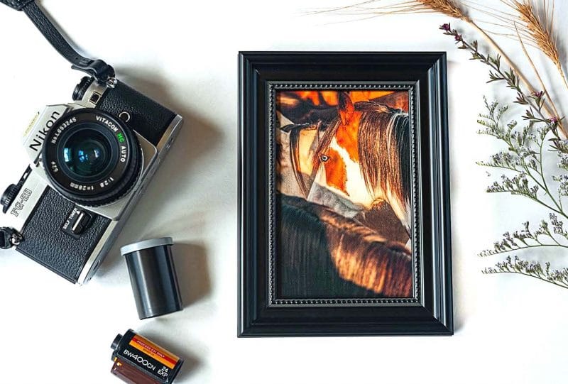 Blue Eyes Framed Mini Canvas Print