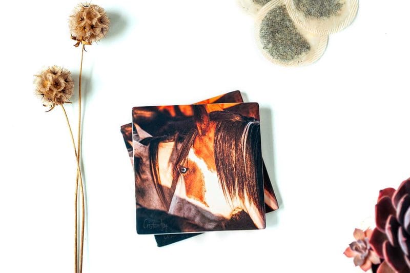 Blue Eyes Coasters