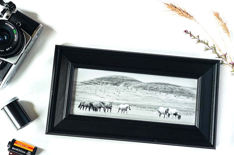 Caught in the Middle Framed Mini Canvas Print