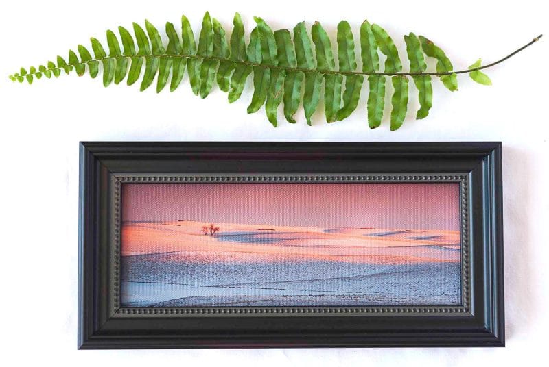 Snow Prairie Framed Mini Canvas Print