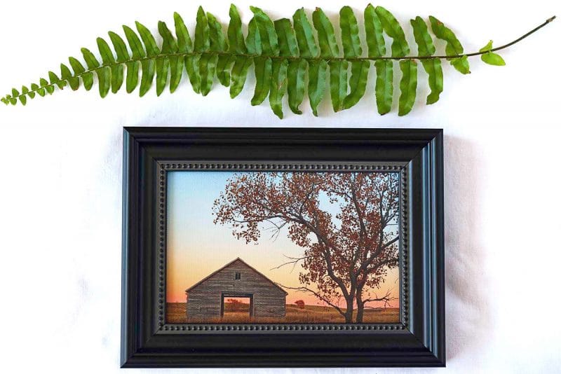 Granary in Fall Framed Mini Canvas Print