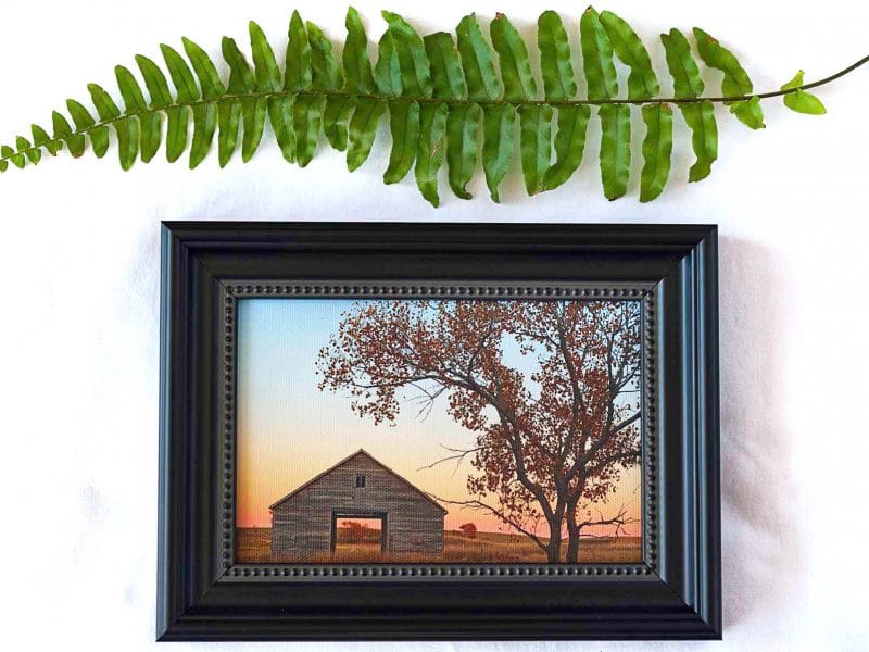 Granary in Fall Framed Mini Canvas Print