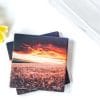 Wheat Field at Sunset Coasters