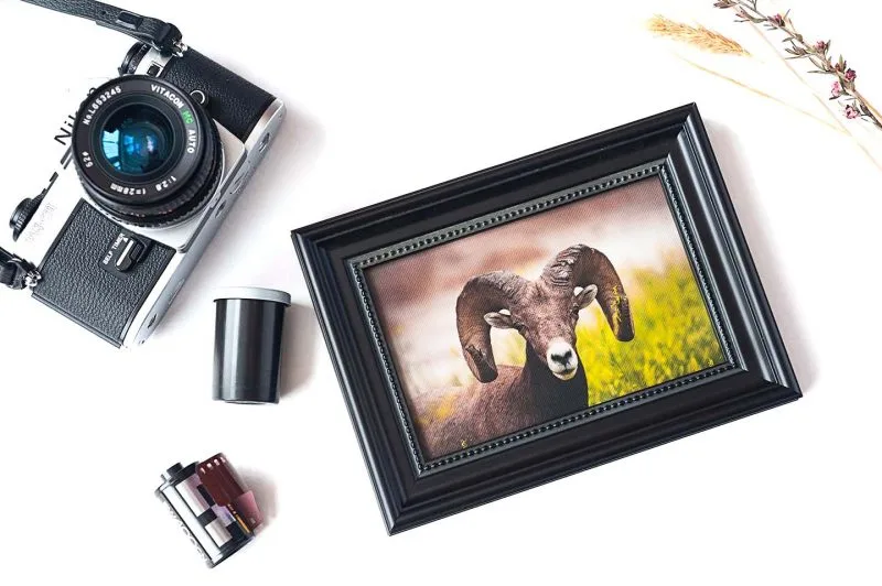 A Little Bling Framed Mini Canvas Print