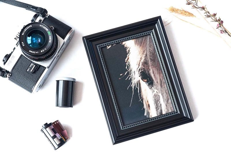 Gentle Gaze Framed Mini Canvas Print