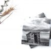 Room with a View Coasters