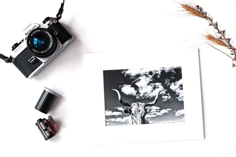 Stella 5x7 Matted Print