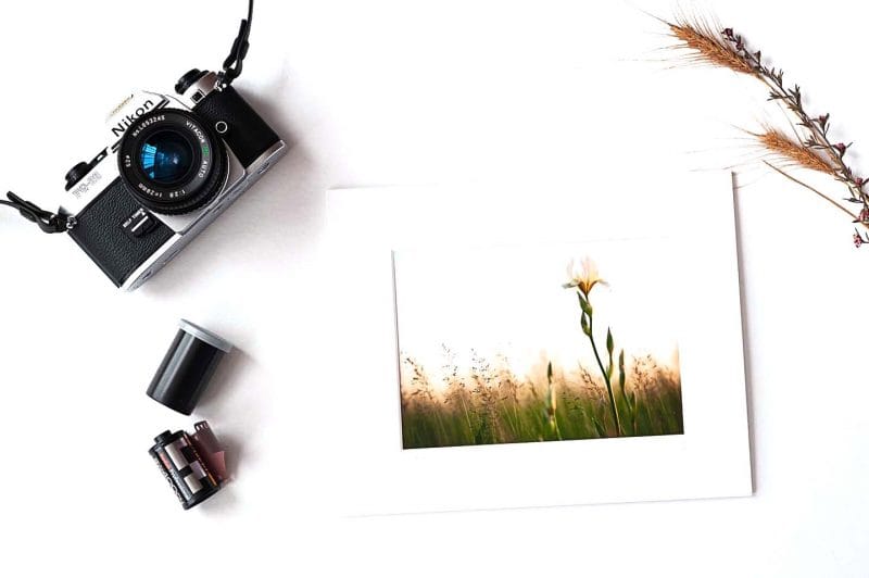 Let Me Be Wild 5x7 Matted Print