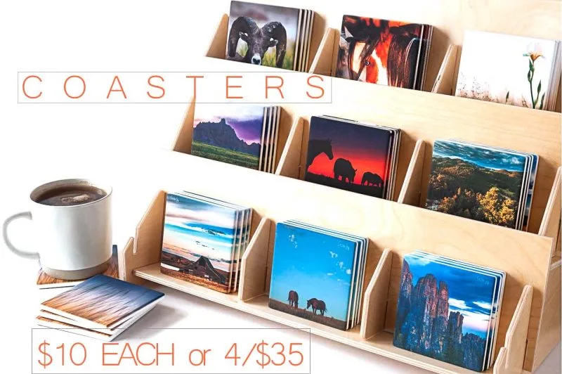 Room with a View Coasters - Image 4