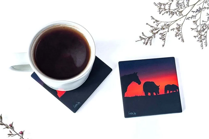 Into the Sunset Coasters
