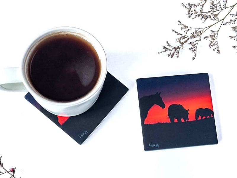 Into the Sunset Coasters