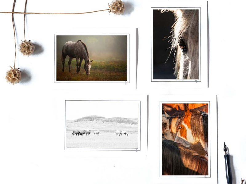 Horse of Mine! Notecard Collection