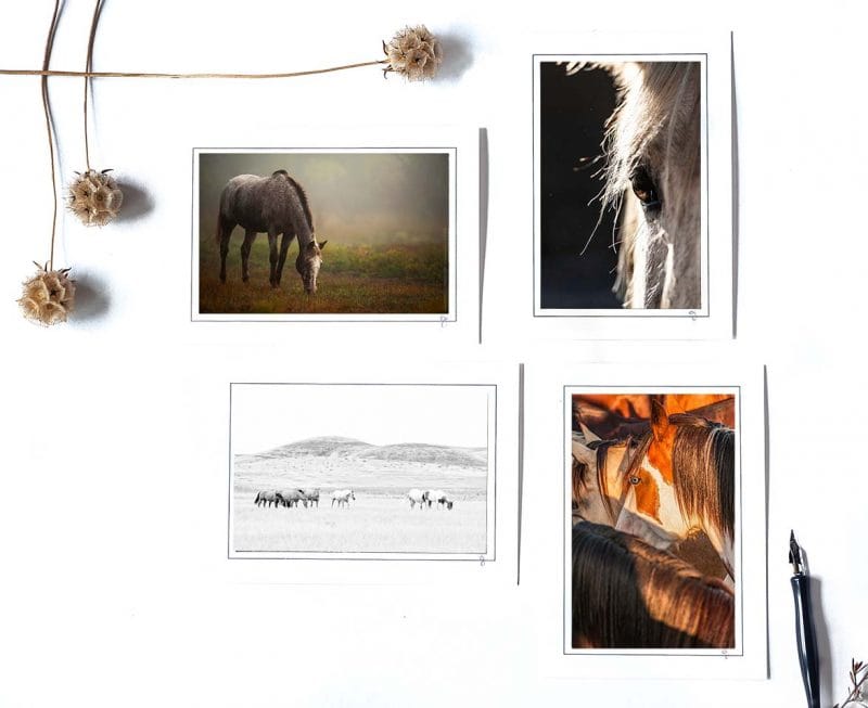Horse of Mine! Notecard Collection