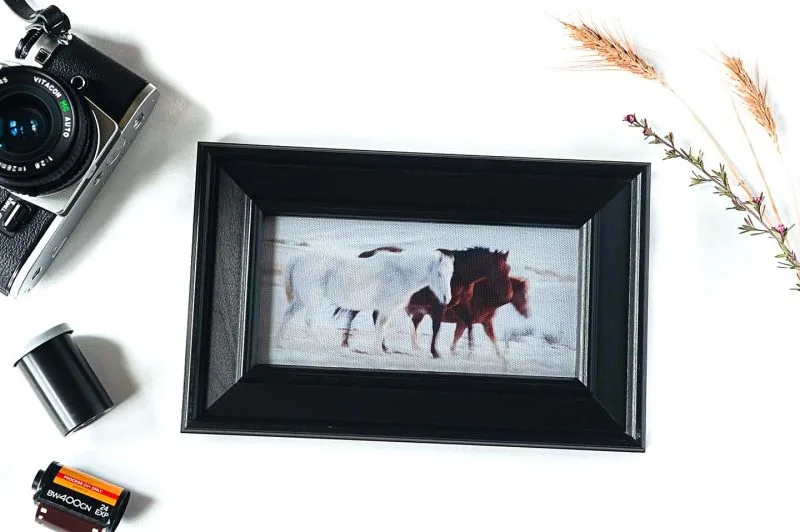 In Motion Framed Mini Canvas Print