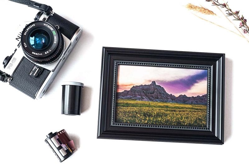 Majestic Framed Mini Canvas Print