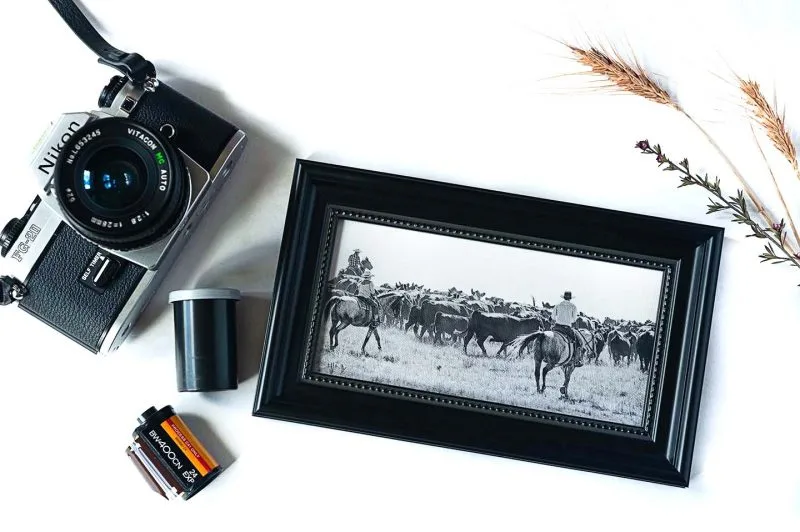 Roundup Framed Mini Canvas Print
