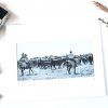 Roundup 4x8 Matted Print