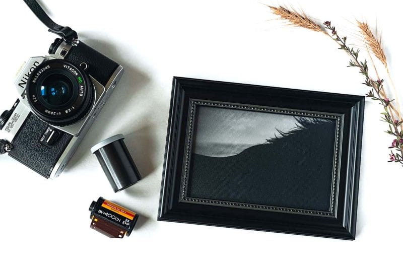 Shadow's Silhouette Framed Mini Canvas Print