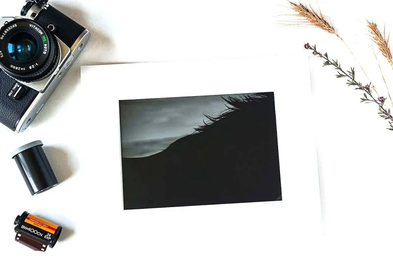 Shadow's Silhouette 5x7 Matted Print