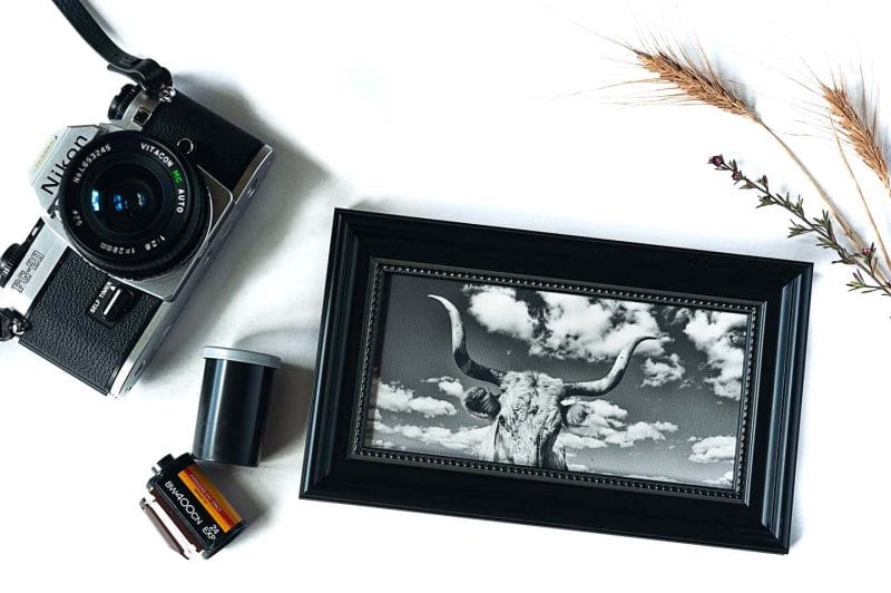 Stella Framed Mini Canvas Print
