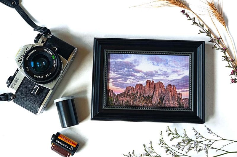 The Cathedral Framed Mini Canvas Print
