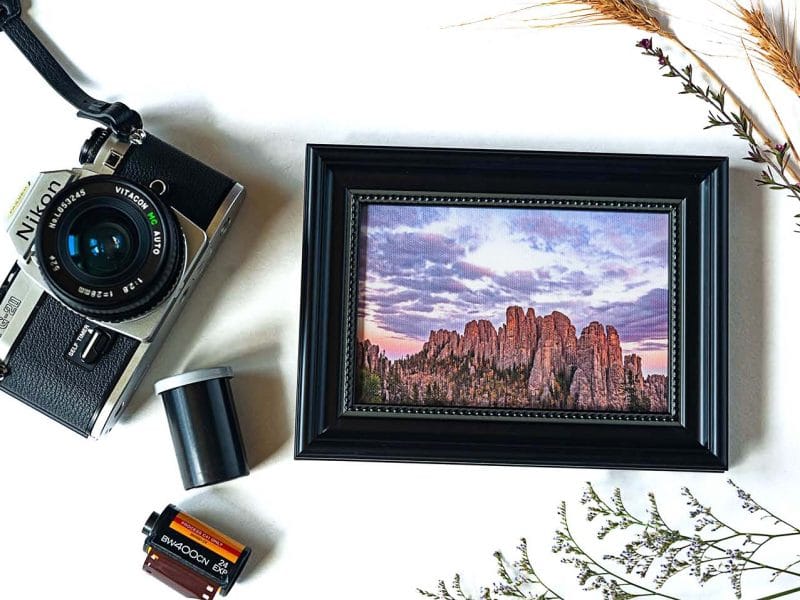 The Cathedral Framed Mini Canvas Print