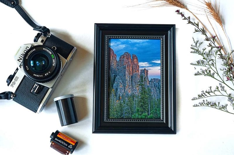 Touch of Gold Framed Mini Canvas Print