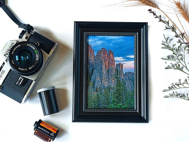 Touch of Gold Framed Mini Canvas Print