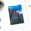 Touch of Gold 5x7 Matted Print