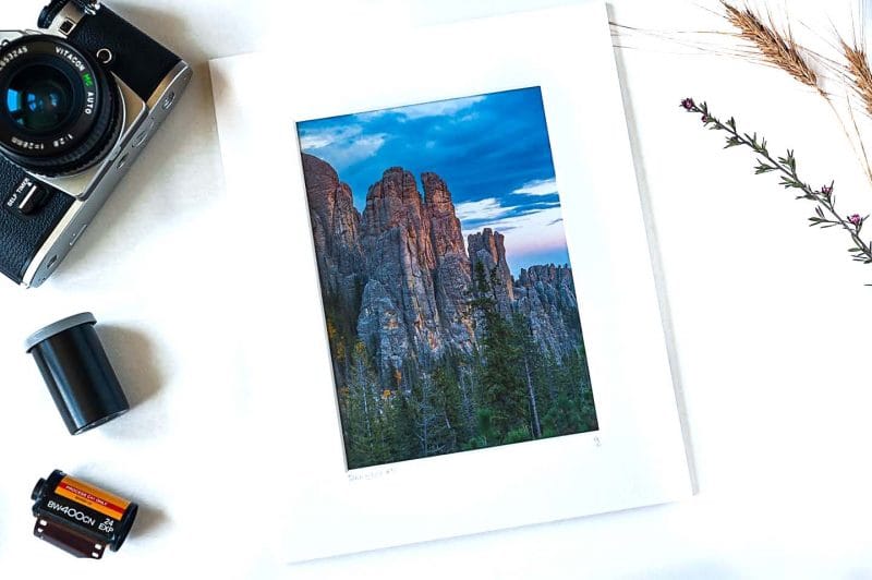 Touch of Gold 5x7 Matted Print