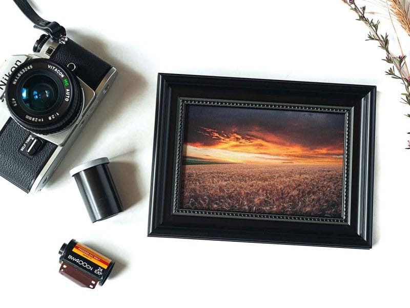 Wheat Field at Sunset Framed Mini Canvas Print